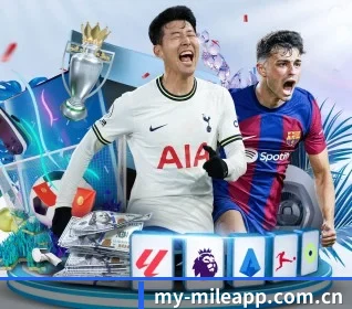 平台简介